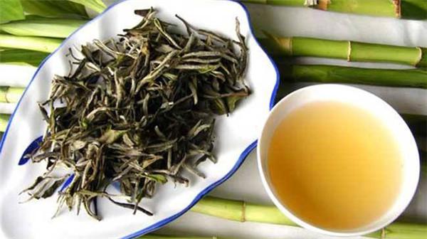 茶叶白茶（白茶多少钱一斤）